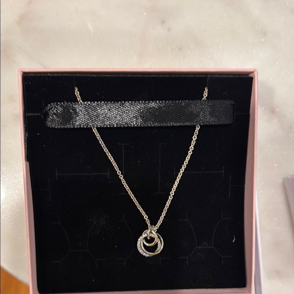 Elegant Silver Necklace with Interlocking Rings